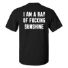 I Am A Ray Of Fxxking Sunshine Print Men's T-shirt2